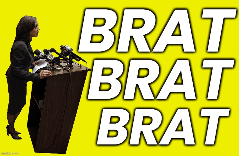 KAMALA SPEECH TO ____ | BRAT; BRAT; BRAT | image tagged in kamala harris,speech,brat,fart convention,biden clone,puppet | made w/ Imgflip meme maker