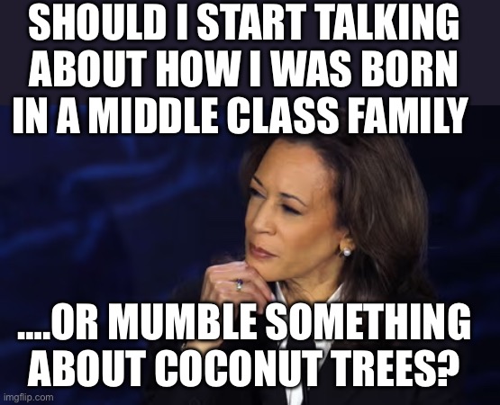 Kamala Harris chin pose | SHOULD I START TALKING ABOUT HOW I WAS BORN IN A MIDDLE CLASS FAMILY; ….OR MUMBLE SOMETHING ABOUT COCONUT TREES? | image tagged in kamala harris chin pose,kamala harris | made w/ Imgflip meme maker