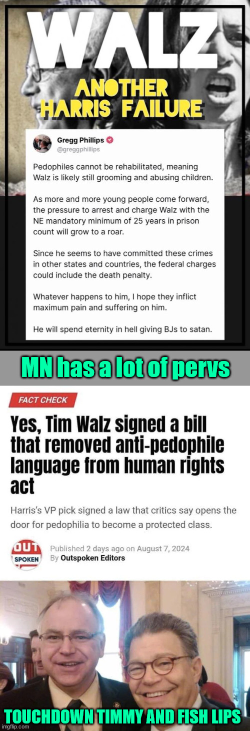 dems... the party that protects pedos... release the Epstein, Diddy client lists | MN has a lot of pervs; TOUCHDOWN TIMMY AND FISH LIPS | image tagged in minnesota,pervs,touchdown timmy,fish lips | made w/ Imgflip meme maker