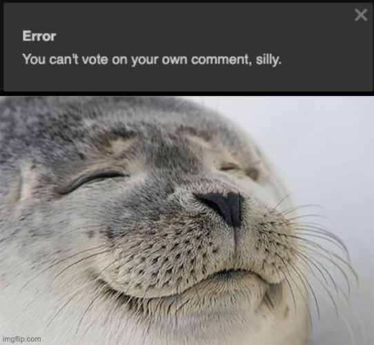 Why is this so satisfying? | image tagged in memes,satisfied seal | made w/ Imgflip meme maker