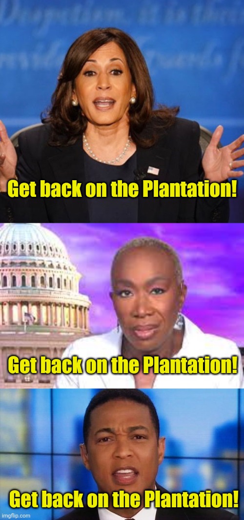 Libs have an important message for African-Americans... | Get back on the Plantation! Get back on the Plantation! Get back on the Plantation! | image tagged in kamala harris,joy reid show,angry don lemon | made w/ Imgflip meme maker