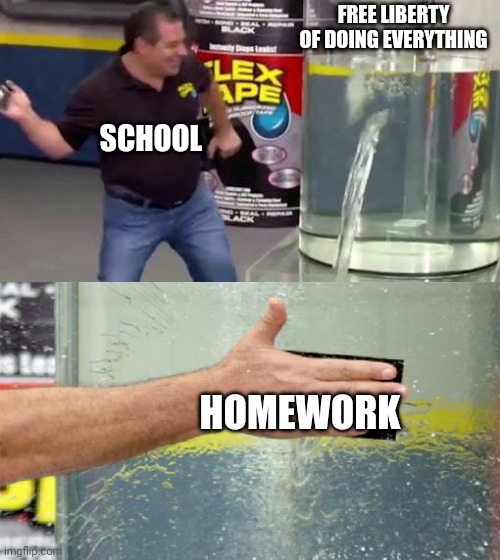 Bro i hate Homework, Is so annoying ;-; | FREE LIBERTY OF DOING EVERYTHING; SCHOOL; HOMEWORK | image tagged in flex tape,school,homework,idk | made w/ Imgflip meme maker