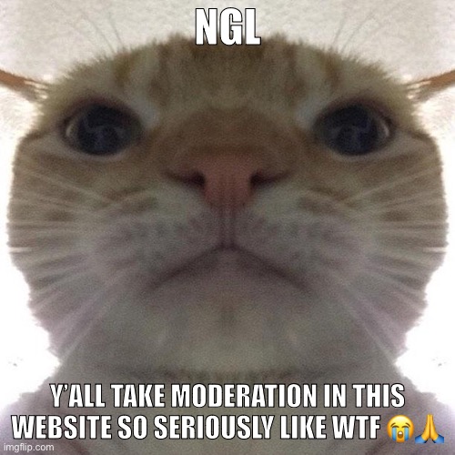 Staring Cat/Gusic | NGL; Y’ALL TAKE MODERATION IN THIS WEBSITE SO SERIOUSLY LIKE WTF 😭🙏 | image tagged in staring cat/gusic | made w/ Imgflip meme maker