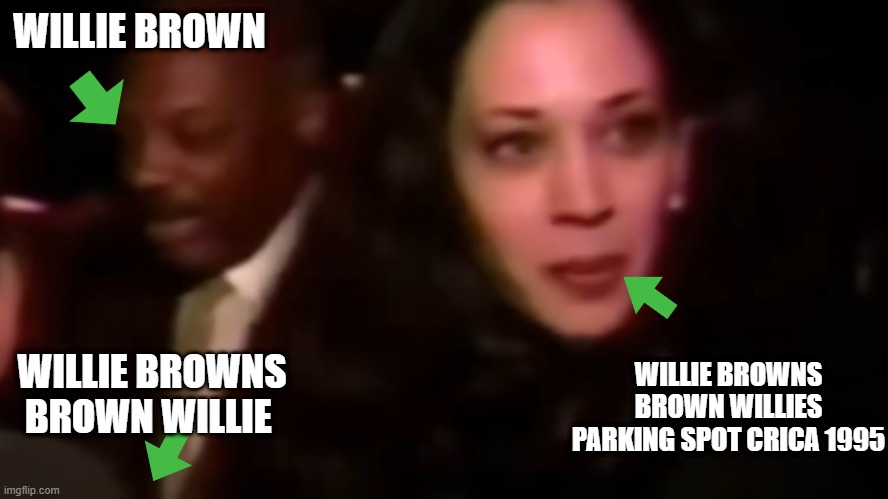 WILLIE BROWN; WILLIE BROWNS BROWN WILLIE; WILLIE BROWNS BROWN WILLIES PARKING SPOT CRICA 1995 | made w/ Imgflip meme maker