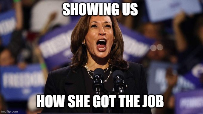 SHOWING US; HOW SHE GOT THE JOB | made w/ Imgflip meme maker