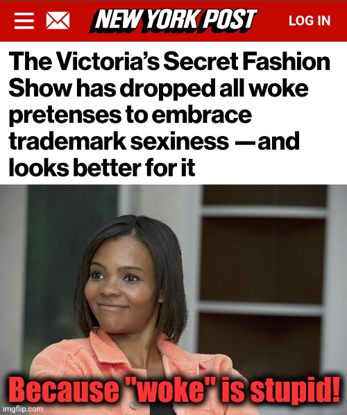 It's back, for the first time since 2019! (I'm not posting lingerie on this stream.  Go look for it yourself.) | Because "woke" is stupid! | image tagged in memes,victoria's secret,fashion show,lingerie,woke,democrats | made w/ Imgflip meme maker