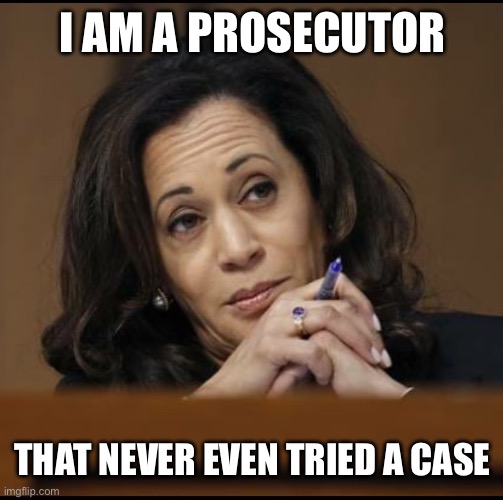 Kamala Harris  | I AM A PROSECUTOR; THAT NEVER EVEN TRIED A CASE | image tagged in kamala harris,donald trump,election 2024 | made w/ Imgflip meme maker