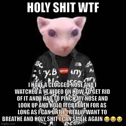 That actually worked, crazy ;-; | HOLY SHIT WTF; I HAVE A CLOGGED NOSE AND I WATCHED A YT VIDEO ON HOW TO GET RID OF IT AND I HAD TO PINCH MY NOSE AND LOOK UP AND HOLD MY BREATH FOR AS LONG AS I CAN UNTIL I REALLY WANT TO BREATHE AND HOLY SHIT I CAN SMELL AGAIN 😭😭😭 | image tagged in bingus drip,nose | made w/ Imgflip meme maker