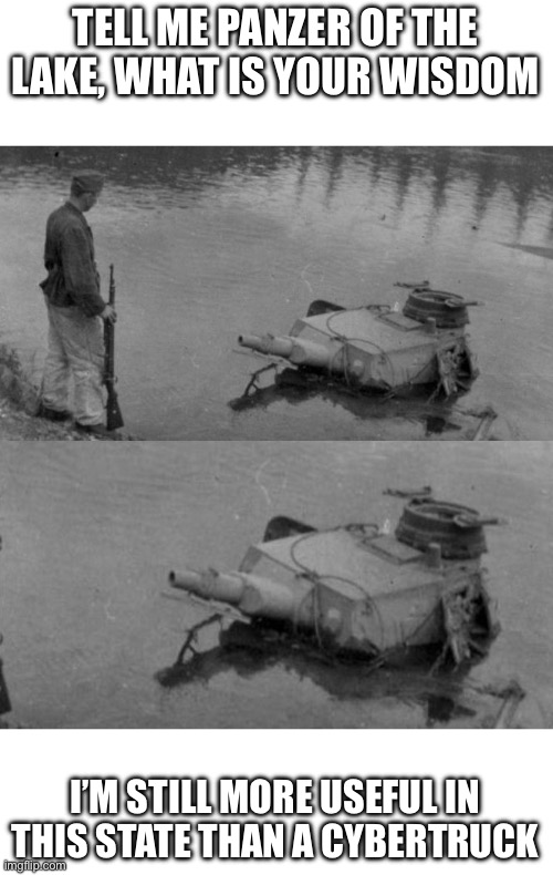 Meme | TELL ME PANZER OF THE LAKE, WHAT IS YOUR WISDOM; I’M STILL MORE USEFUL IN THIS STATE THAN A CYBERTRUCK | image tagged in panzer of the lake | made w/ Imgflip meme maker