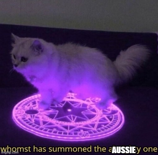 Whomst has summoned the almighty one | AUSSIE | image tagged in whomst has summoned the almighty one | made w/ Imgflip meme maker