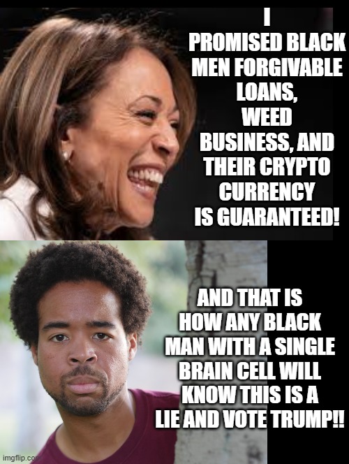 Smart Black Men will not fall for Kamala's lies!! | I PROMISED BLACK MEN FORGIVABLE LOANS, WEED BUSINESS, AND THEIR CRYPTO CURRENCY IS GUARANTEED! AND THAT IS HOW ANY BLACK MAN WITH A SINGLE BRAIN CELL WILL KNOW THIS IS A LIE AND VOTE TRUMP!! | image tagged in liar liar pants on fire,sam elliott special kind of stupid | made w/ Imgflip meme maker