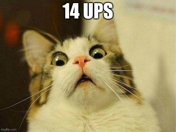 Scared Cat | 14 UPS | image tagged in memes,scared cat | made w/ Imgflip meme maker