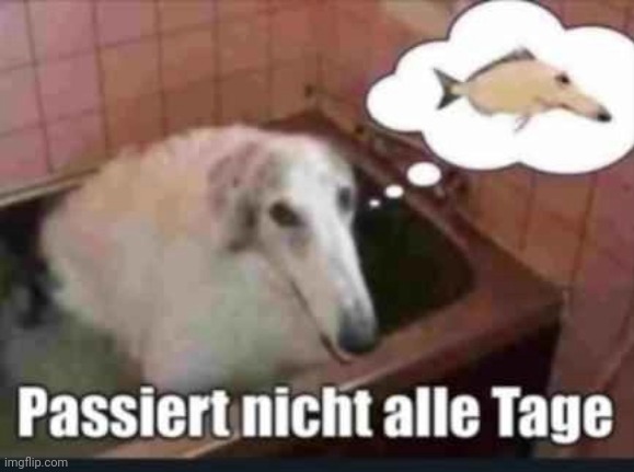 konig translate this | made w/ Imgflip meme maker