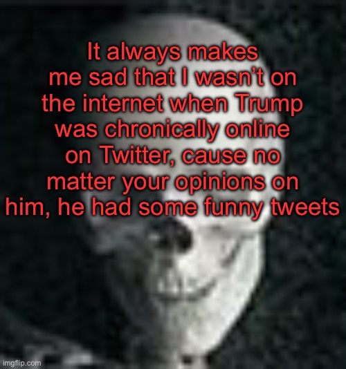 . | It always makes me sad that I wasn’t on the internet when Trump was chronically online on Twitter, cause no matter your opinions on him, he had some funny tweets | image tagged in skull | made w/ Imgflip meme maker