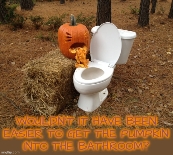 Pumpkin puke | WOULDN'T IT HAVE BEEN
EASIER TO GET THE PUMPKIN
INTO THE BATHROOM? | image tagged in pumpkin puke | made w/ Imgflip meme maker