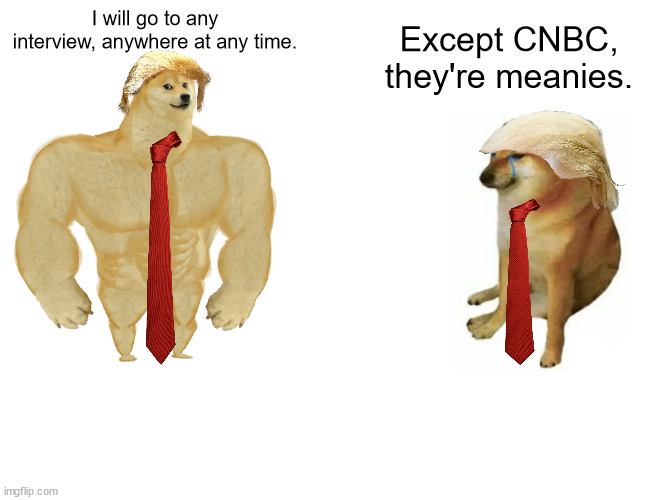 Buff Doge vs. Cheems | I will go to any interview, anywhere at any time. Except CNBC, they're meanies. | image tagged in memes,buff doge vs cheems | made w/ Imgflip meme maker