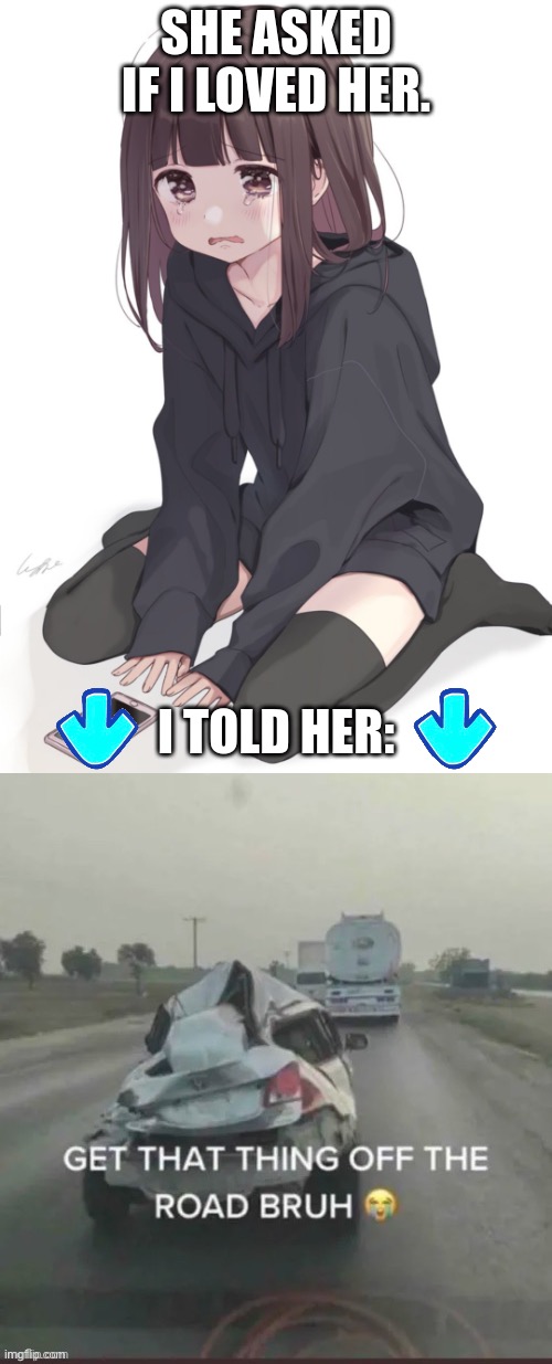 image tagged in she asked if i loved her | made w/ Imgflip meme maker