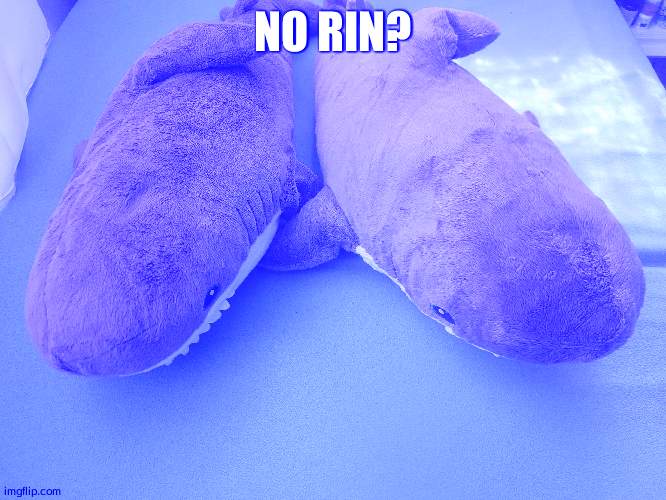 My brother's and my blahaj | NO RIN? | image tagged in blahaj,plush | made w/ Imgflip meme maker