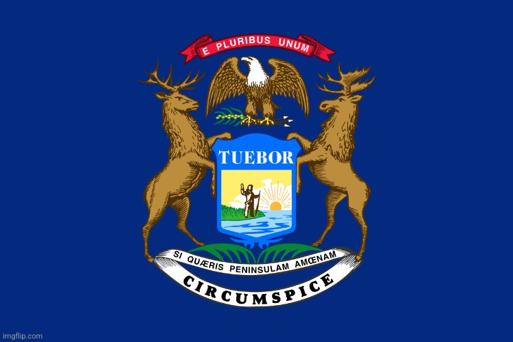 Michigan Flag | image tagged in michigan flag | made w/ Imgflip meme maker