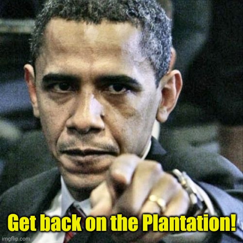 Pissed Off Obama Meme | Get back on the Plantation! | image tagged in memes,pissed off obama | made w/ Imgflip meme maker