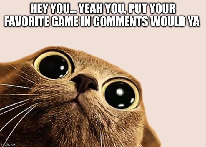 Just want to make an average game to game ratio Btw I’m a call of duty gamer | HEY YOU… YEAH YOU, PUT YOUR FAVORITE GAME IN COMMENTS WOULD YA | image tagged in put your dick in it cat,fun,gaming,comment,stop reading the tags,if you read this tag you are cursed | made w/ Imgflip meme maker