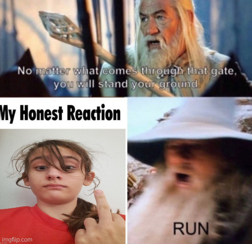 RUN | image tagged in run | made w/ Imgflip meme maker