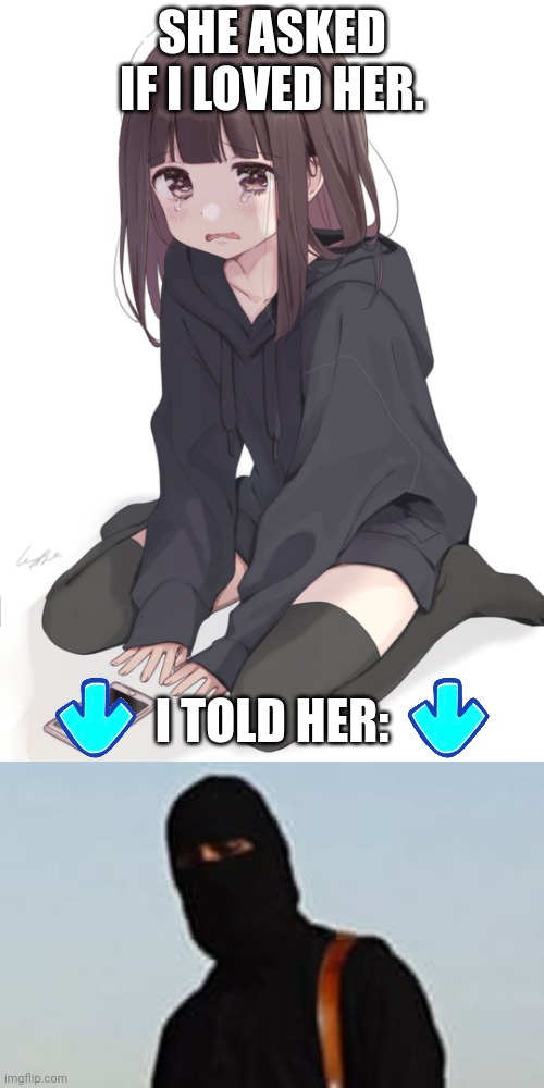 image tagged in she asked if i loved her | made w/ Imgflip meme maker