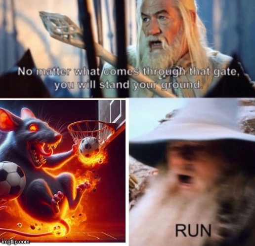 RUN | image tagged in run | made w/ Imgflip meme maker