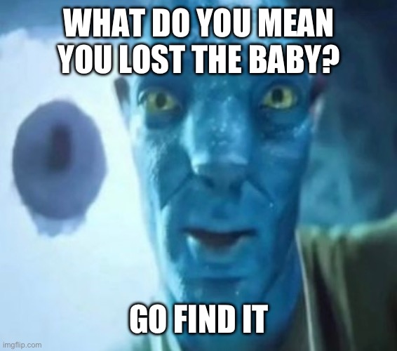 Avatar guy | WHAT DO YOU MEAN YOU LOST THE BABY? GO FIND IT | image tagged in avatar guy | made w/ Imgflip meme maker