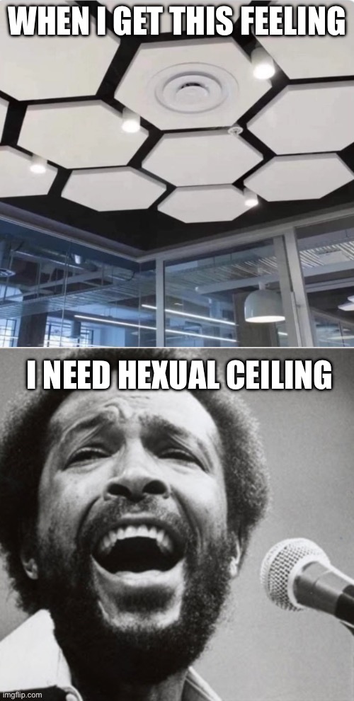 Sexual healing or? | image tagged in healing,ceiling,sexual,marvin gaye | made w/ Imgflip meme maker