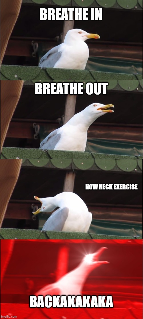 me letting anger out slowly | BREATHE IN; BREATHE OUT; NOW NECK EXERCISE; BACKAKAKAKA | image tagged in memes,inhaling seagull | made w/ Imgflip meme maker