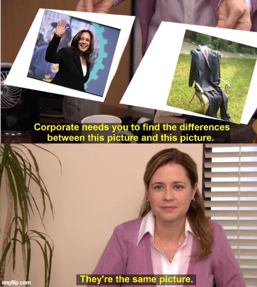 They're The Same Picture | image tagged in memes,they're the same picture | made w/ Imgflip meme maker