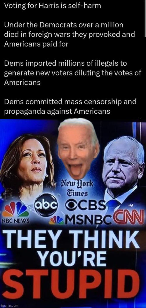 They think you're stupid | image tagged in democrats,stupid,propaganda | made w/ Imgflip meme maker