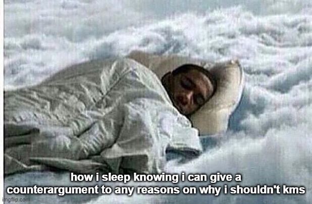 How I Sleep | how i sleep knowing i can give a counterargument to any reasons on why i shouldn't kms | image tagged in how i sleep | made w/ Imgflip meme maker