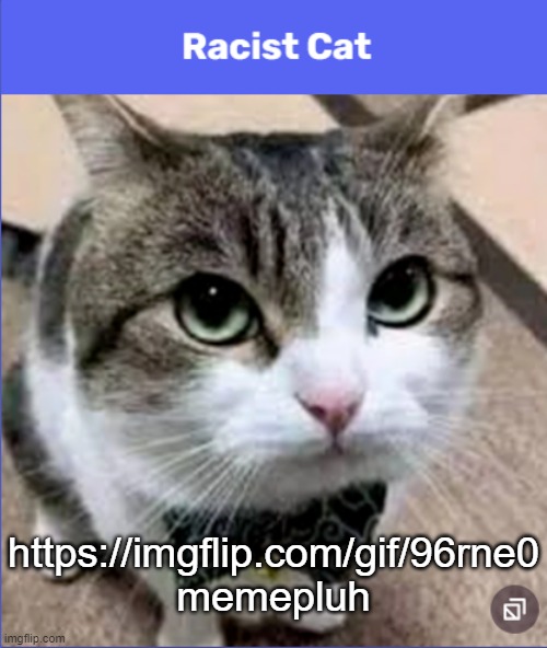 https://imgflip.com/gif/96rne0 | https://imgflip.com/gif/96rne0
memepluh | image tagged in racist cat | made w/ Imgflip meme maker