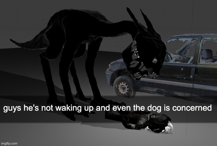 do we call 911 | guys he's not waking up and even the dog is concerned | made w/ Imgflip meme maker