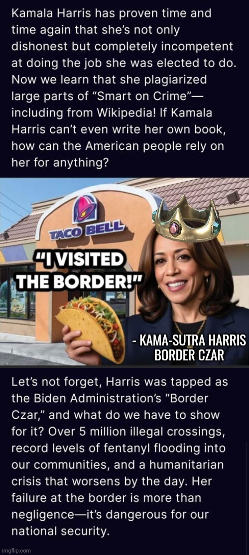 Kamasutra Harris Border Czar | image tagged in kamala harris,epic,failure | made w/ Imgflip meme maker