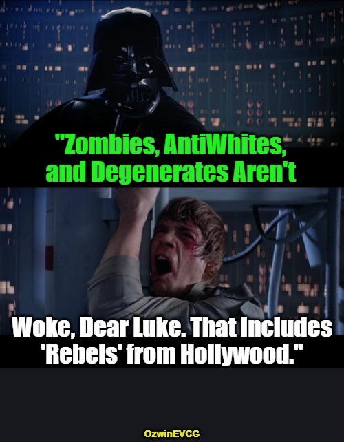 Some Tough Talk Between Father and Son | "Zombies, AntiWhites, 

and Degenerates Aren't; Woke, Dear Luke. That Includes

'Rebels' from Hollywood."; OzwinEVCG | image tagged in memes,star wars no,woke,sounds like communist propaganda,boycott hollywood,liberal logic | made w/ Imgflip meme maker