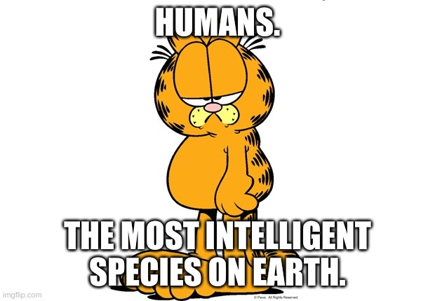 Grumpy Garfield | HUMANS. THE MOST INTELLIGENT SPECIES ON EARTH. | image tagged in grumpy garfield | made w/ Imgflip meme maker