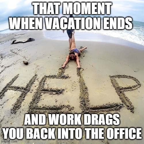 That feeling! | THAT MOMENT WHEN VACATION ENDS; AND WORK DRAGS YOU BACK INTO THE OFFICE | image tagged in memes | made w/ Imgflip meme maker