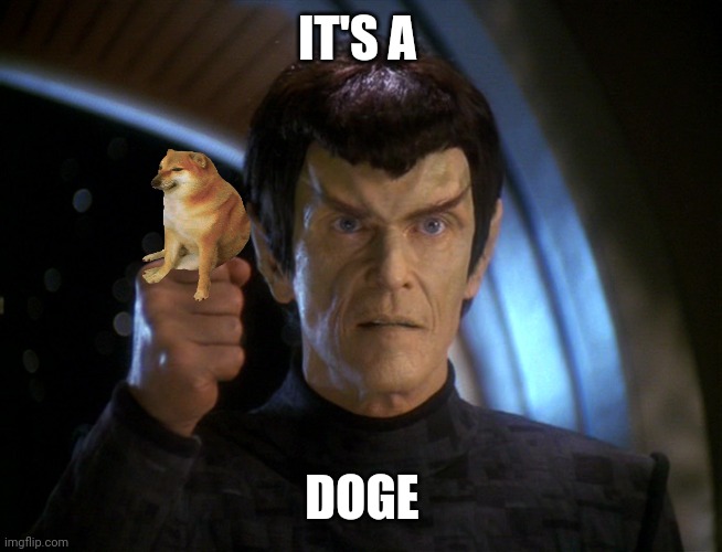 ITS A DOGE | IT'S A; DOGE | image tagged in it's a fake | made w/ Imgflip meme maker