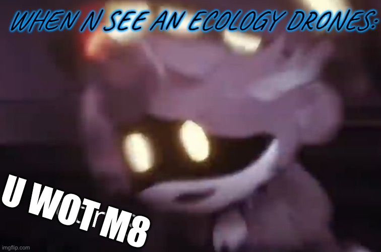 U wot m8 | WHEN N SEE AN ECOLOGY DRONES:; U WOT M8 | image tagged in u wot m8 | made w/ Imgflip meme maker