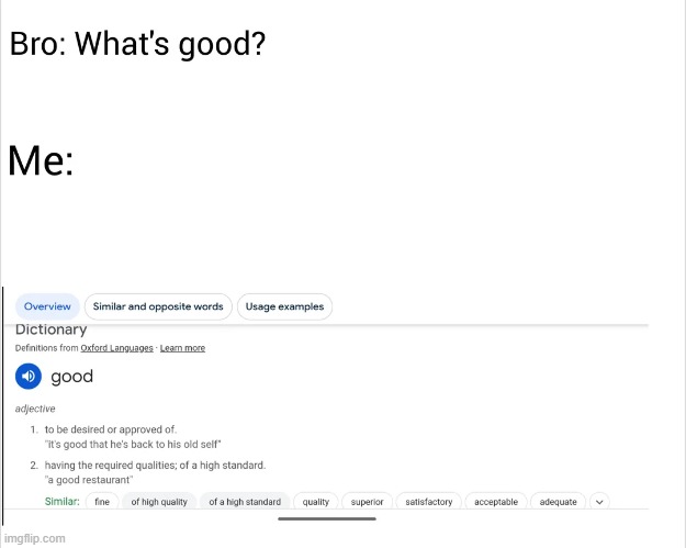 image tagged in bro,what's good,good,dictionary,literally | made w/ Imgflip meme maker