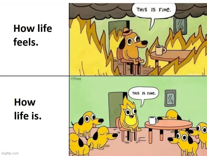 image tagged in life,this is fine,dogs,fire,alternate reality,aww | made w/ Imgflip meme maker