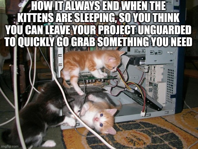 Kittens | HOW IT ALWAYS END WHEN THE KITTENS ARE SLEEPING, SO YOU THINK YOU CAN LEAVE YOUR PROJECT UNGUARDED TO QUICKLY GO GRAB SOMETHING YOU NEED | image tagged in kittens | made w/ Imgflip meme maker