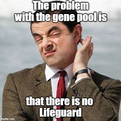 Not Sure | The problem with the gene pool is; that there is no 
Lifeguard | image tagged in not sure | made w/ Imgflip meme maker