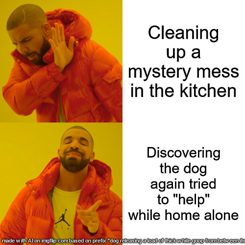 been there, done that! | Cleaning up a mystery mess in the kitchen; Discovering the dog again tried to "help" while home alone | image tagged in memes,drake hotline bling | made w/ Imgflip meme maker