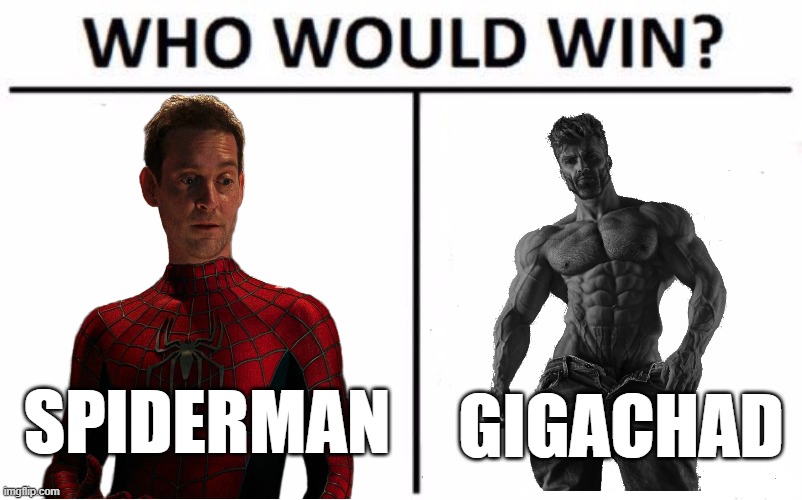 Spider-Man vs Gigachad | SPIDERMAN; GIGACHAD | image tagged in memes,who would win,spiderman | made w/ Imgflip meme maker