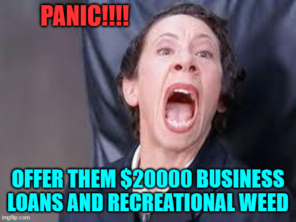 Frau | PANIC!!!! OFFER THEM $20000 BUSINESS LOANS AND RECREATIONAL WEED | image tagged in frau | made w/ Imgflip meme maker