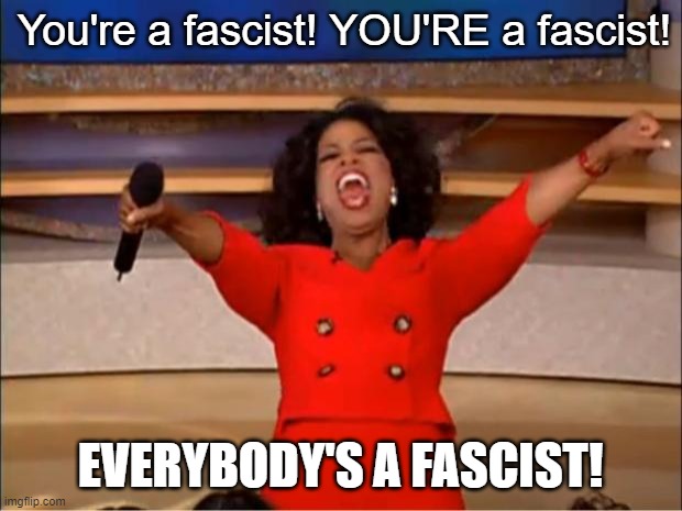 Let's check in on Twitte--ooohhhh | You're a fascist! YOU'RE a fascist! EVERYBODY'S A FASCIST! | image tagged in memes,oprah you get a | made w/ Imgflip meme maker